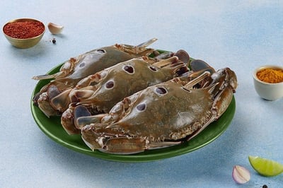 Sea Crab Whole