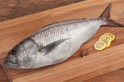 White Snapper Whole